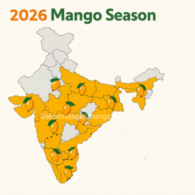 Salem Natural Mangoes