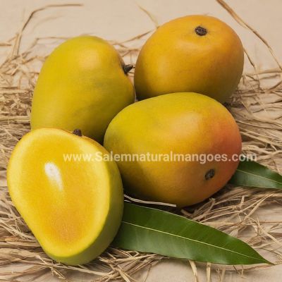 Salem Natural Mangoes