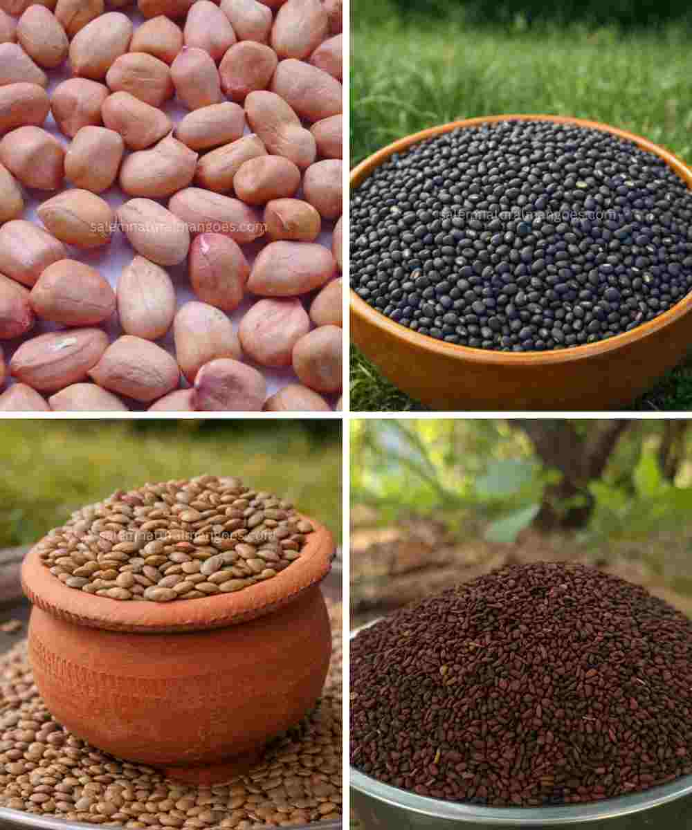 Salem Natural Mangoes