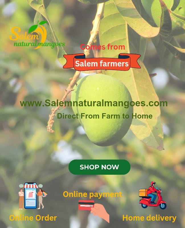 Salem Natural Mangoes